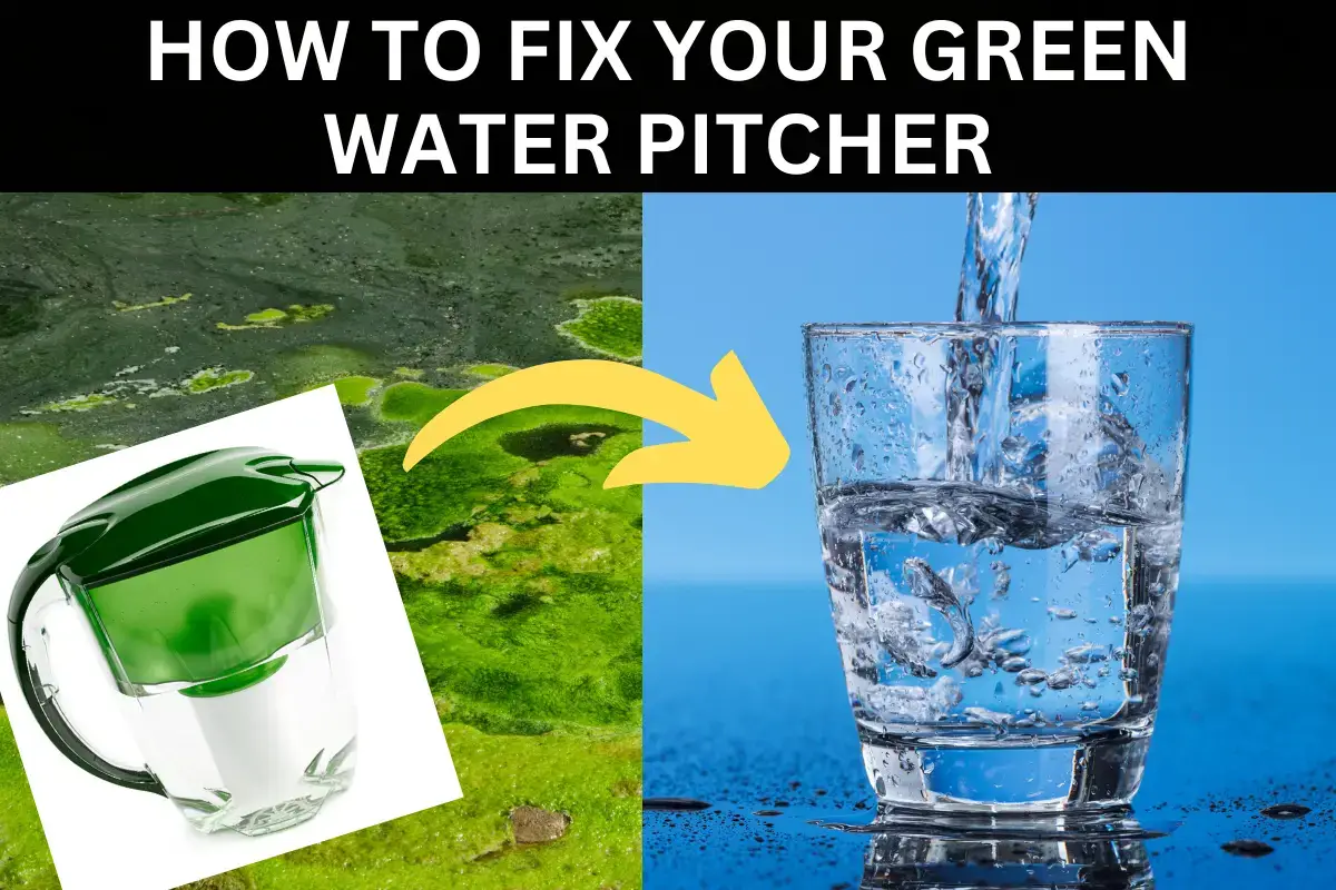 5 razones por las que las jarras de agua se vuelven verdes: cómo prevenirlo