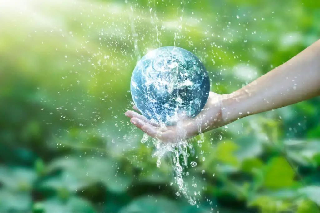 Cómo la purificación del agua ayuda (o daña) el medio ambiente: ¡los hechos!