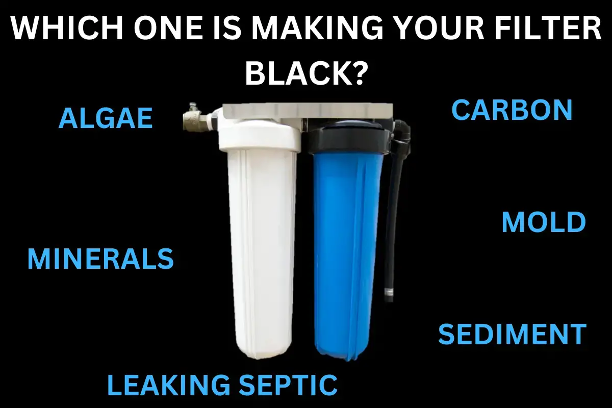 Razones por las que el filtro de agua de toda su casa es negro
