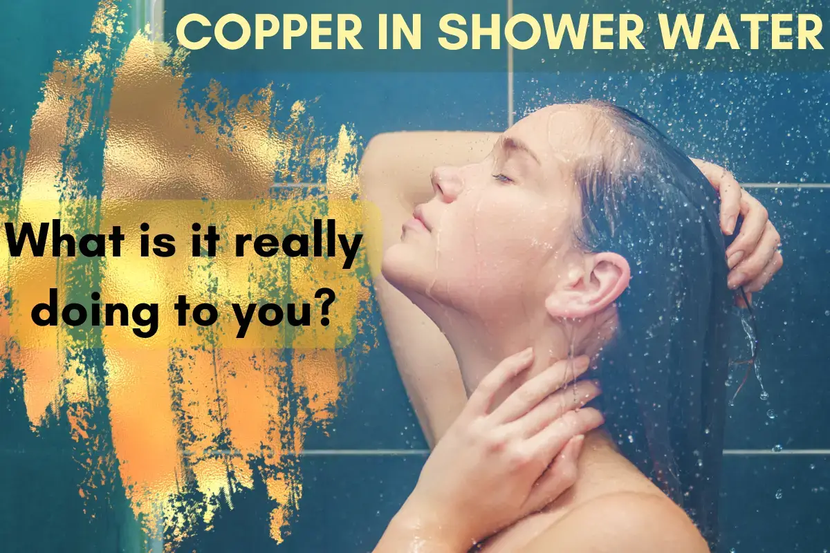 Uso de filtros de ducha para eliminar el cobre: ​​¿cuál es mejor?