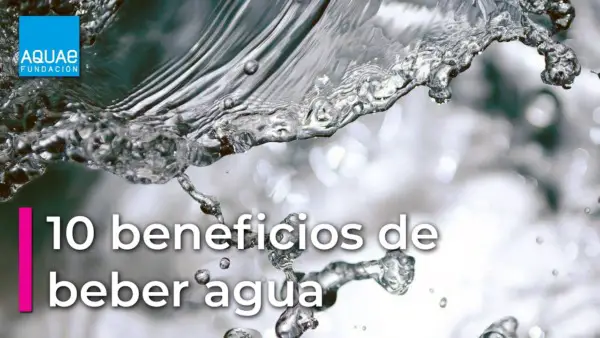 Los 7 principales beneficios del agua blanda (explicados por un experto)