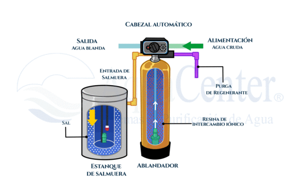 Los componentes internos de un ablandador de agua