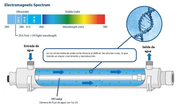 ¿Qué es un purificador de agua UV y cómo funciona?