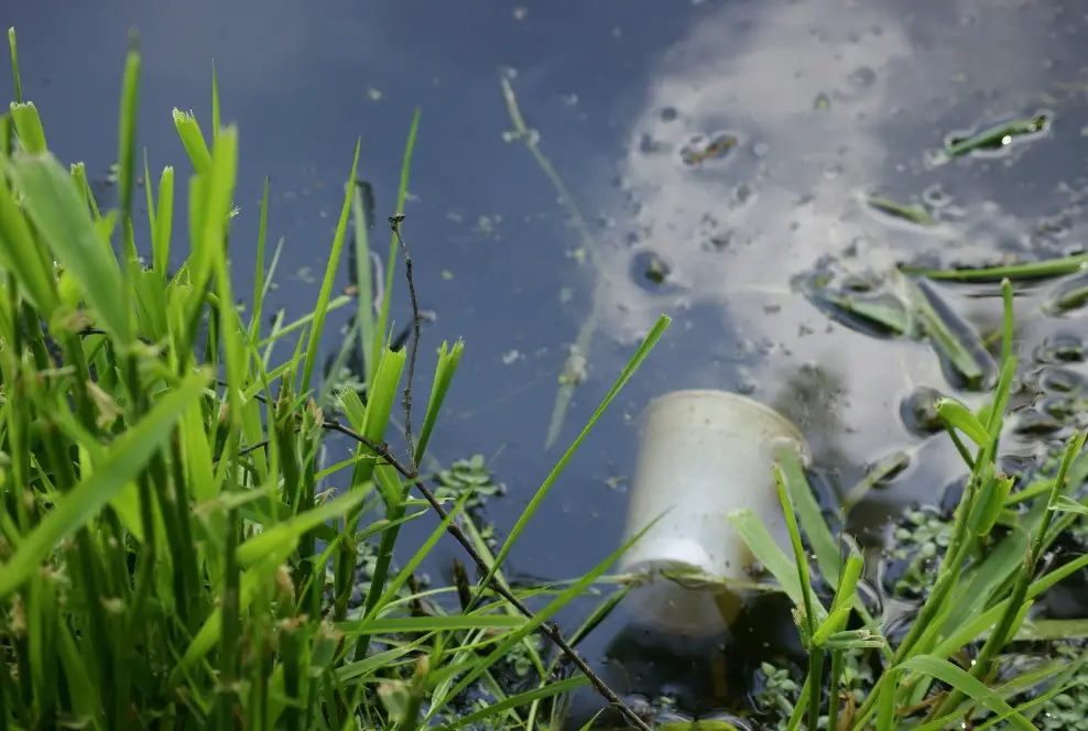¿Qué contaminantes puede eliminar un ablandador de agua?